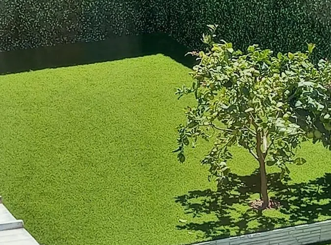 Casa de hóspedes Su Padru *